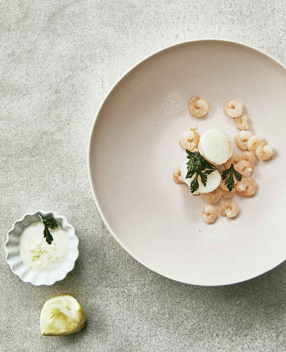 Jakobsmuscheln und Garnelen mit Zitronencreme und frittierter Petersilie à la Sina*
